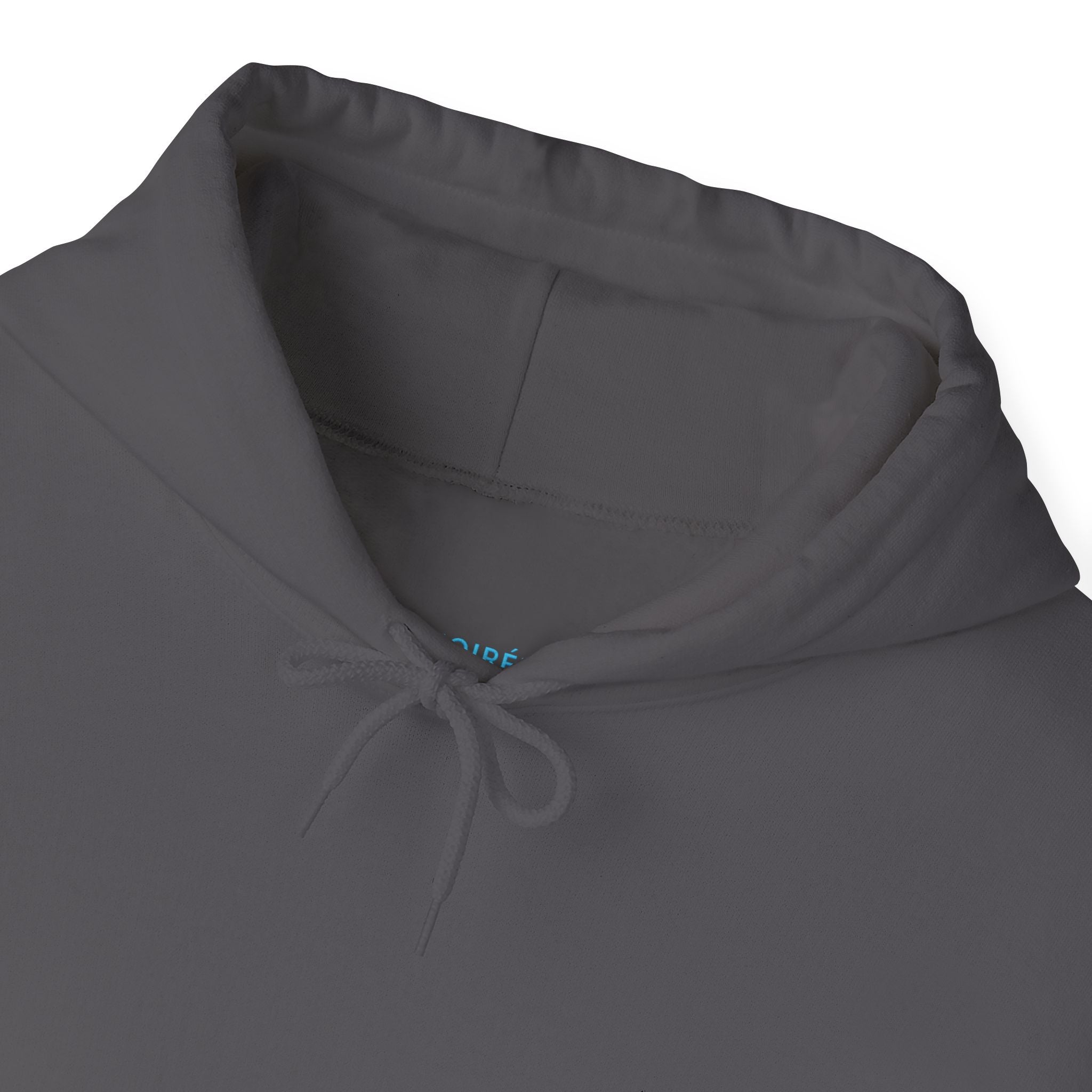 NOIRÉL Script Hoodie – Hellblau gesticktes Logo